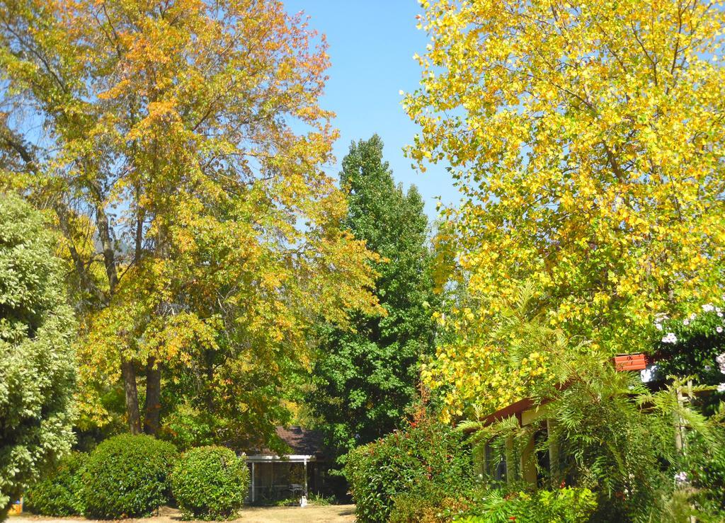 Bright Highland Valley Cottages Exterior photo